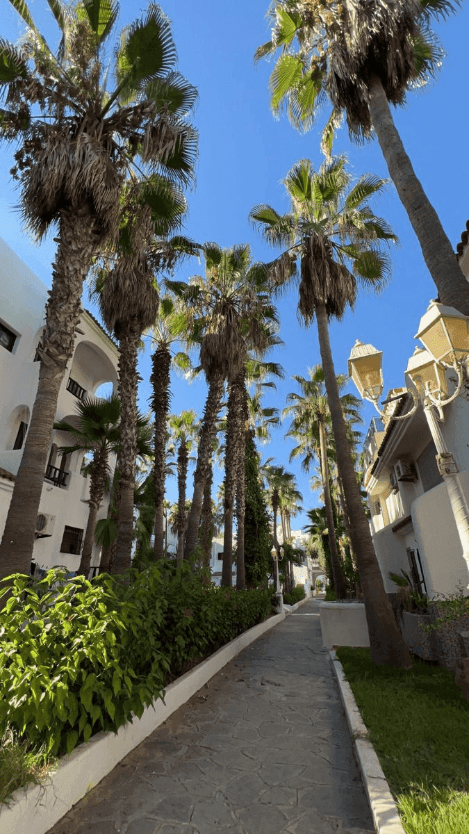 Tangier With Kids: Family-Friendly Spots by Car